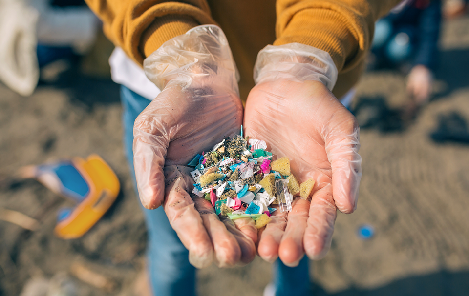 Coastline Plastic copie